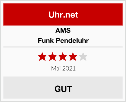 AMS Funk Pendeluhr Test