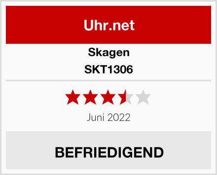 Skagen SKT1306 Test