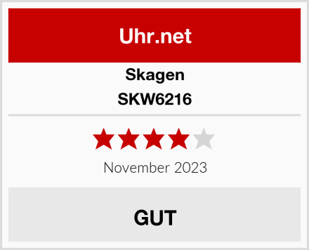 Skagen SKW6216 Test