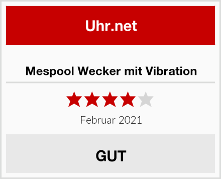  Mespool Wecker mit Vibration Test