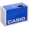 Casio sgw-100
