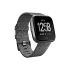Fitbit Versa Special Edition Fitness Armband